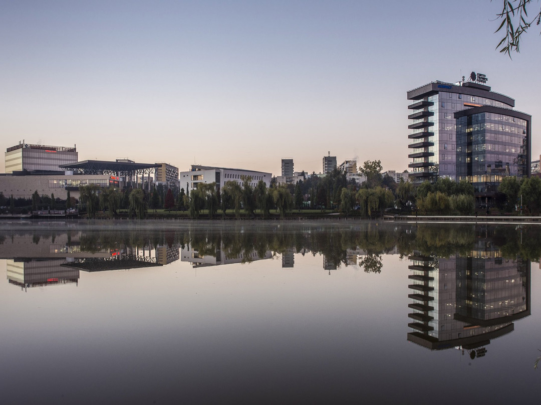 Iulius Mall Cluj景点图片