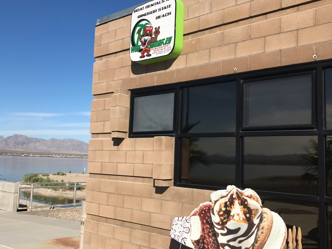 Wet Monkey Powersport Rentals-哈瓦苏湖城必去景点