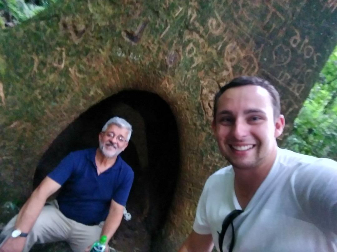 Gruta Nossa Senhora de Lourdes景点图片
