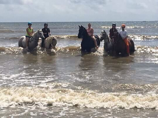 Equitation Ranchacienda-奥瑞尔必去景点