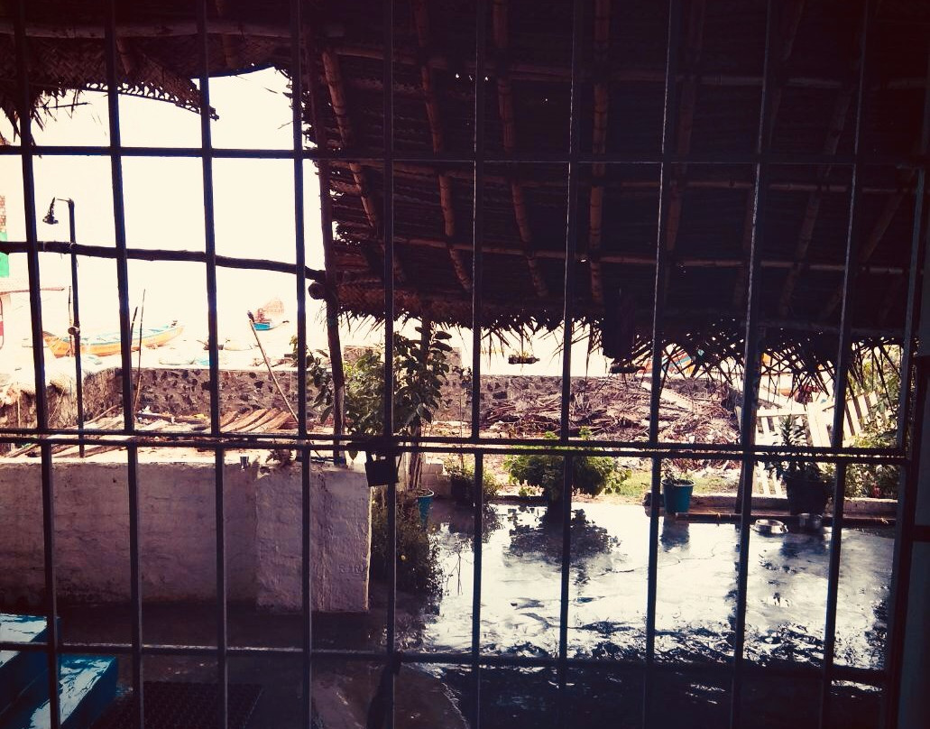 Salty Bone Divers-玛玛拉普蓝必去景点