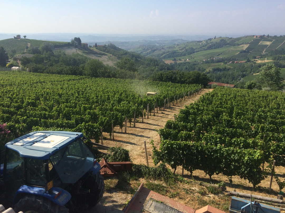 Agriturismo La Trava景点图片