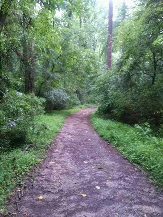 Al Buehler Hiking Trails景点图片