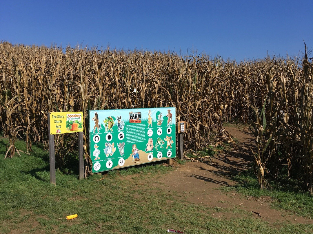 Trunnell's Farm Market & Family Fun Acre景点图片