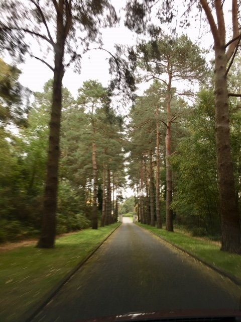 Brookwood American Cemetery and Memorial景点图片