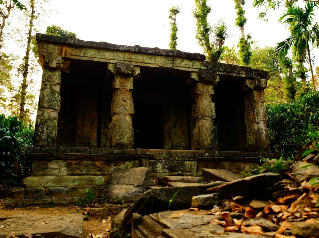 Puliyarmala Jain Temple景点图片