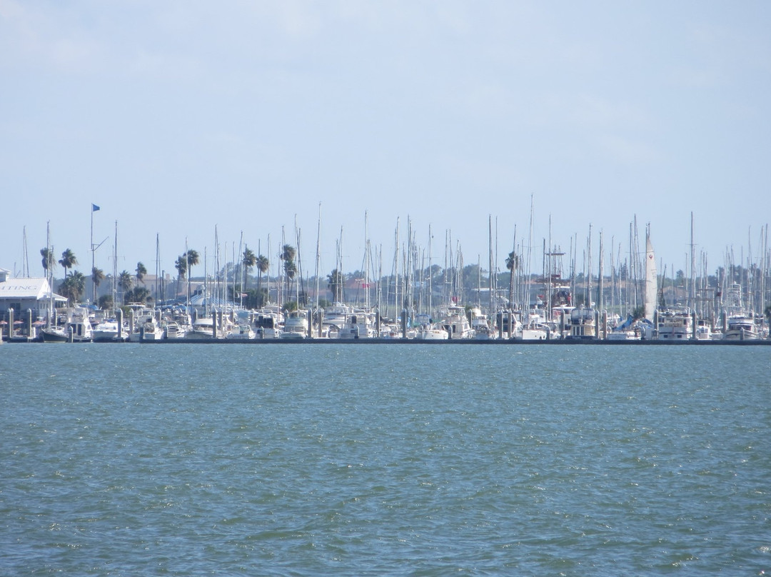 Corpus Christi Municipal Marina-科珀斯克里斯蒂市必去景点