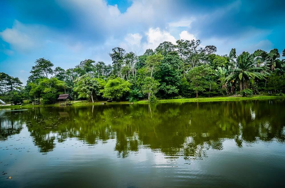 National Botanical Garden景点图片