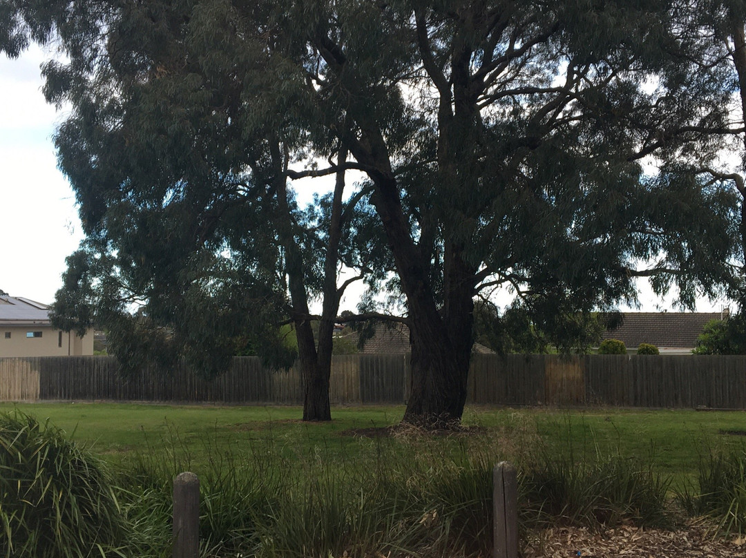 Jordan Reserve-查斯顿必去景点