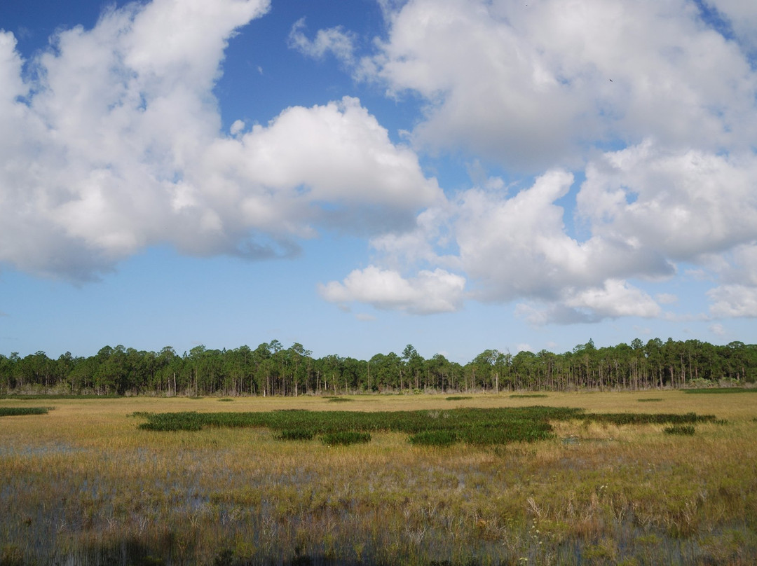 Bluefield Ranch Preserve-圣露西港必去景点