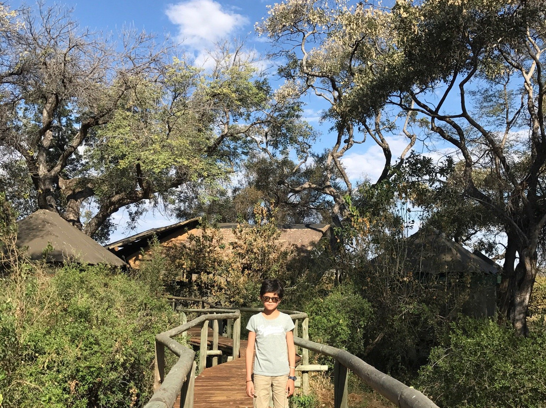 Rra Dinare Camp - Kwando Safaris