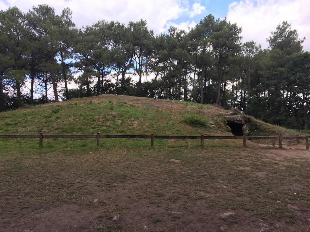 Tumulus et Tombelles de Kernours景点图片