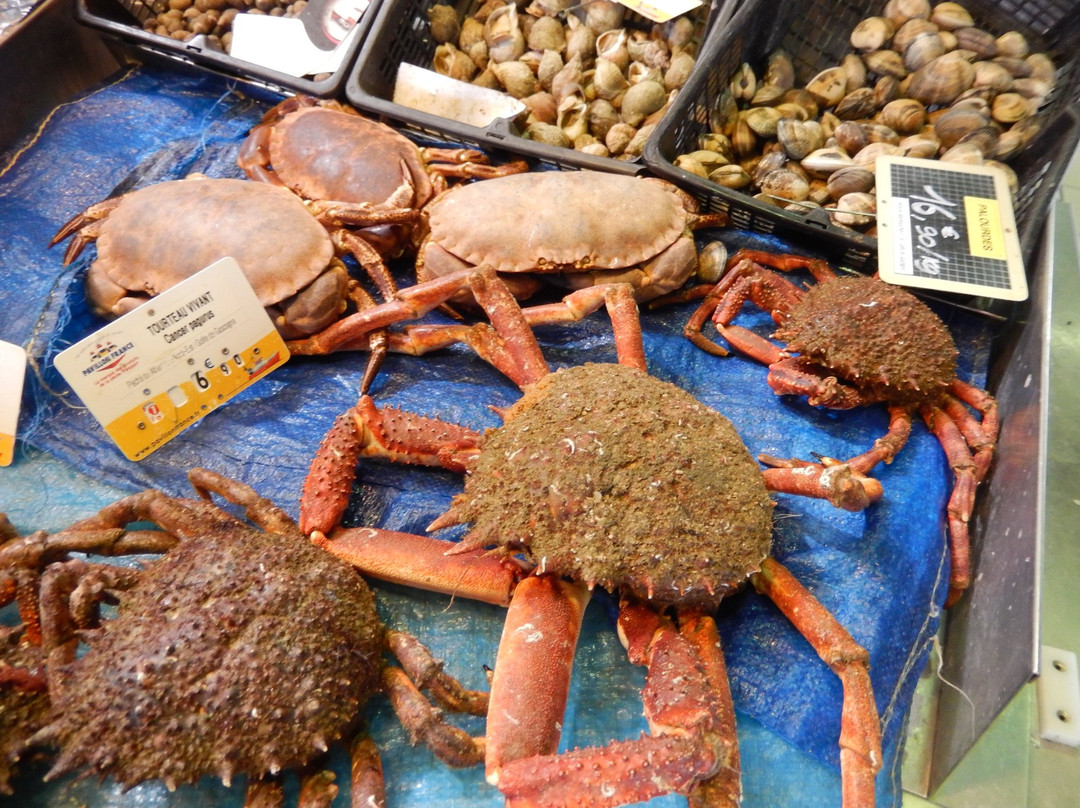 Halle Aux Poissons-La Trinite-sur-Mer必去景点