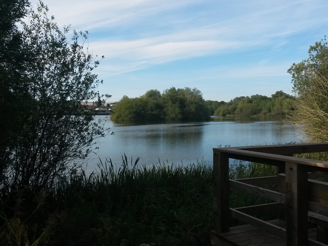 Ditchford Lakes and Meadows Nature Reserve