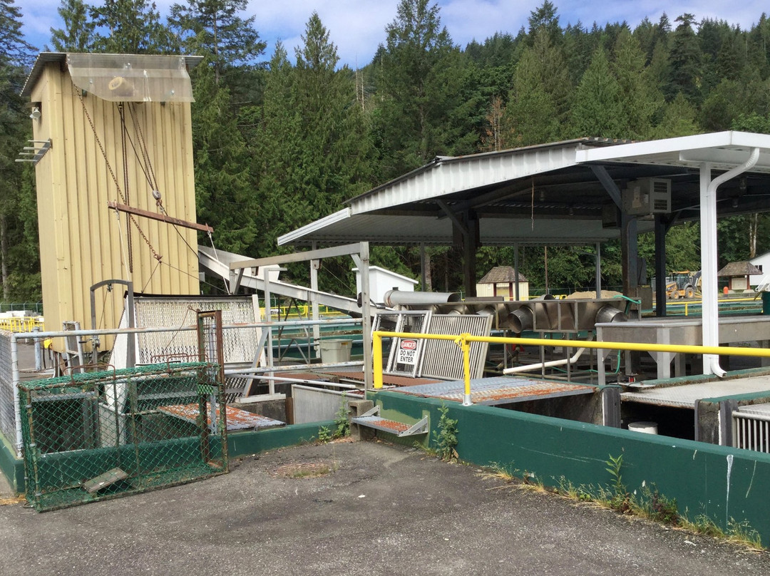 Chehalis River Salmon and Trout Enhancement Facility-阿加斯市必去景点