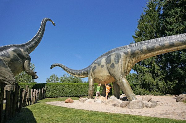 Urwelt Museum Hauff景点图片