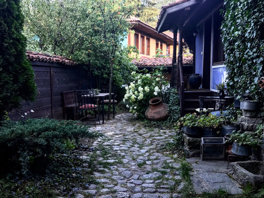 Darina Bed and Breakfast