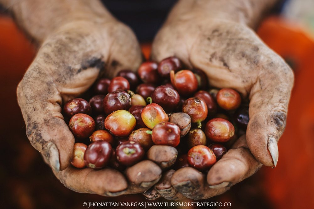 Turismo Estrategico Quindio-Montenegro必去景点