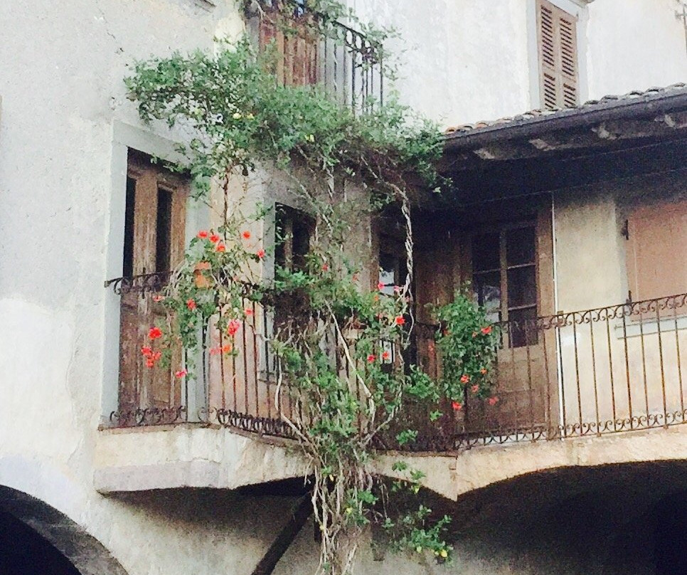 Casa Museo Fantoni景点图片