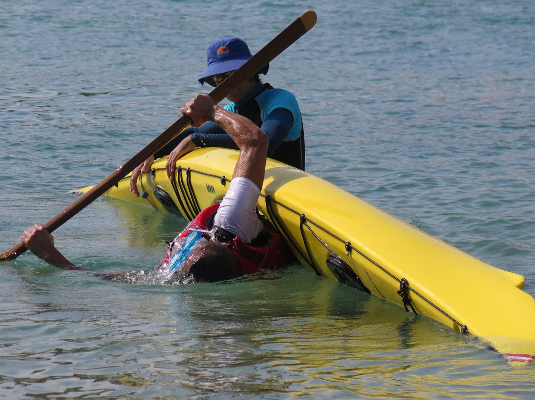 Kayak Spirit-Palamos必去景点