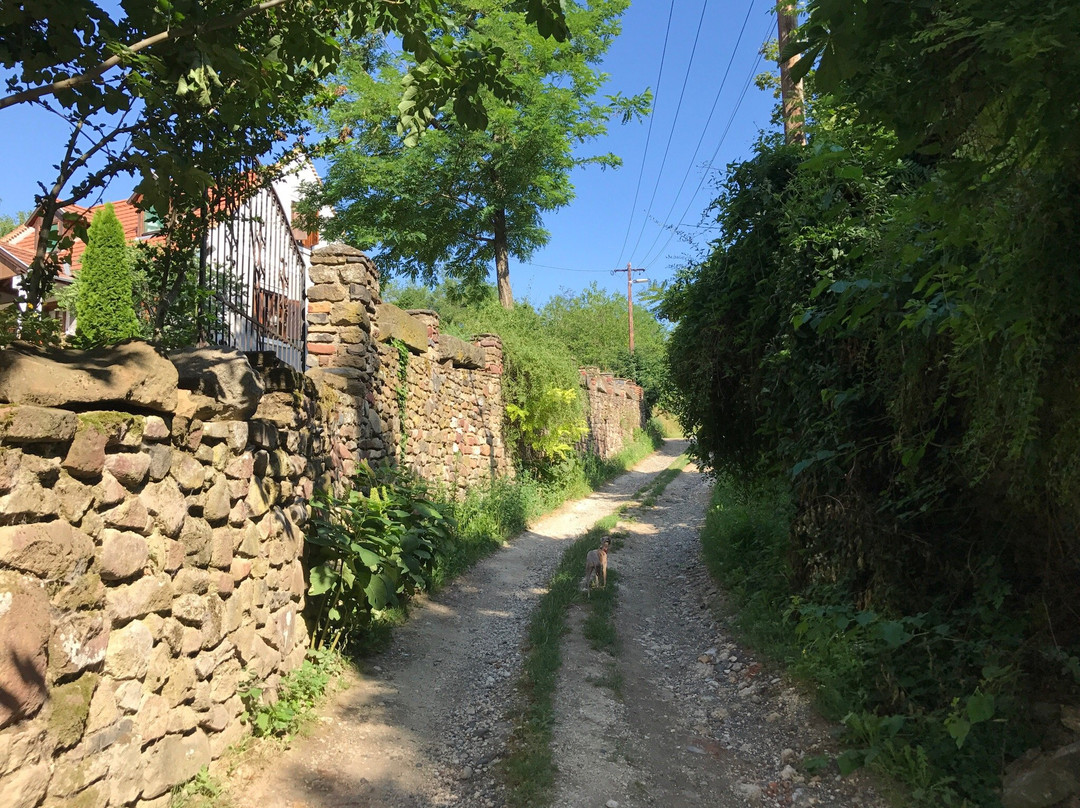 Kapolcs旅游攻略图片