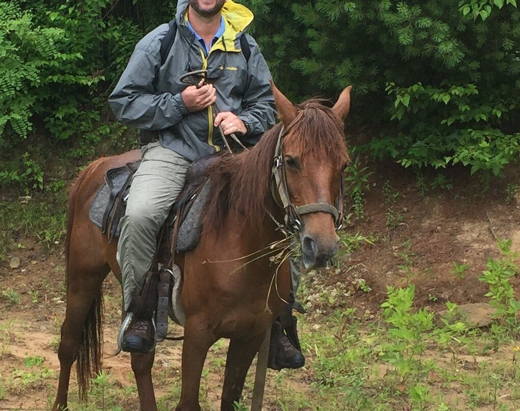 Panther Creek Horseback Rides-Clyde必去景点