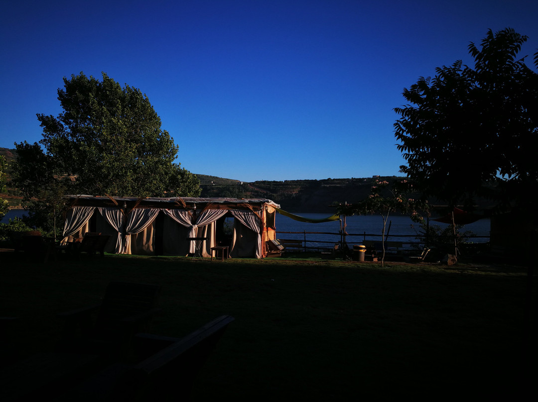 Bambook Park-马萨达必去景点