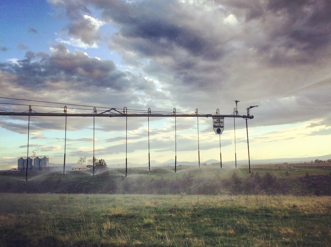 Mecca Grade Estate Malt & Tap Room-Madras必去景点