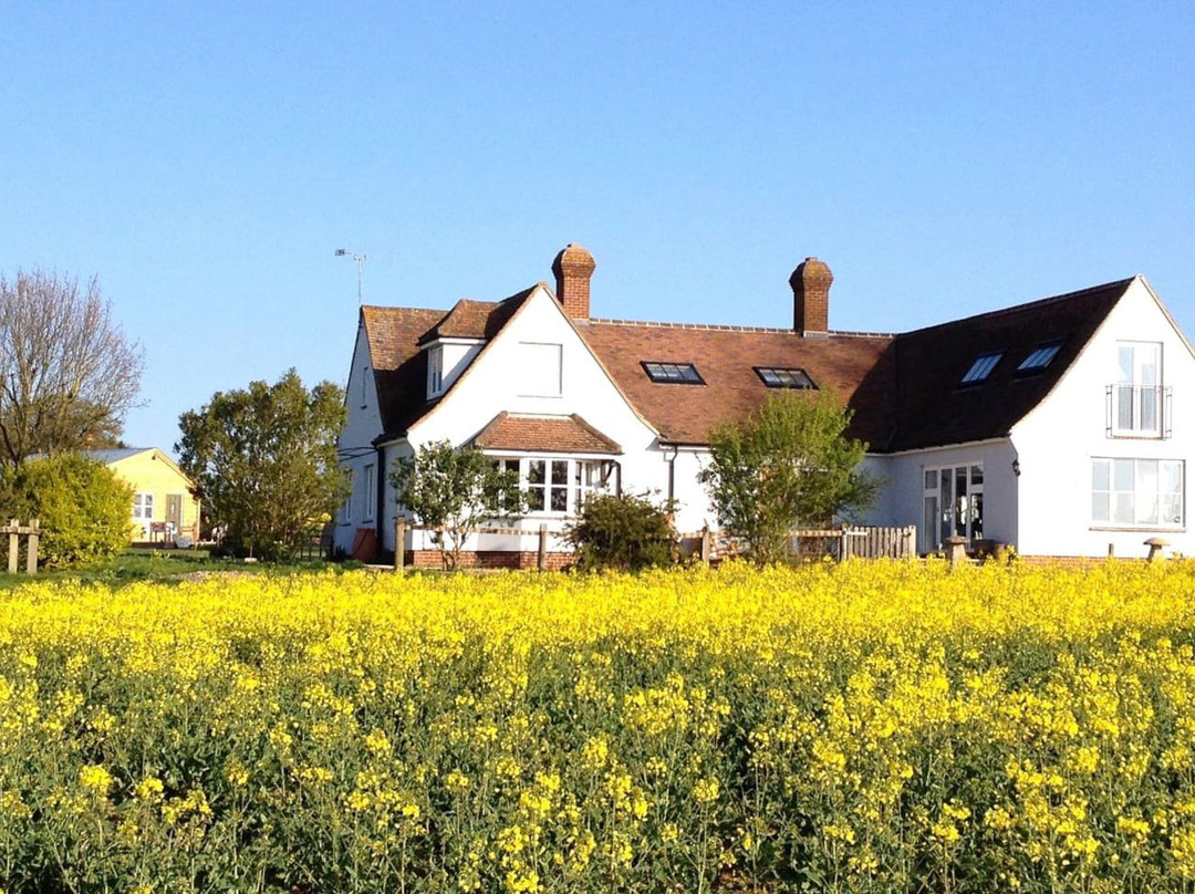 New Cottage Bed & Breakfast