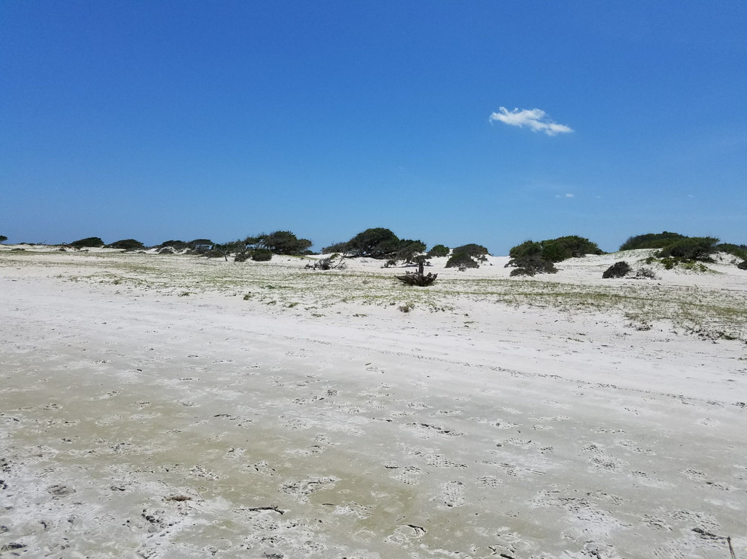 Cedar Island National Wildlife Refuge景点图片