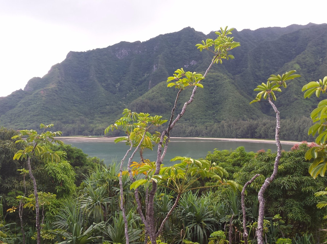 Ahupua'a O Kahana State Park-卡阿瓦必去景点