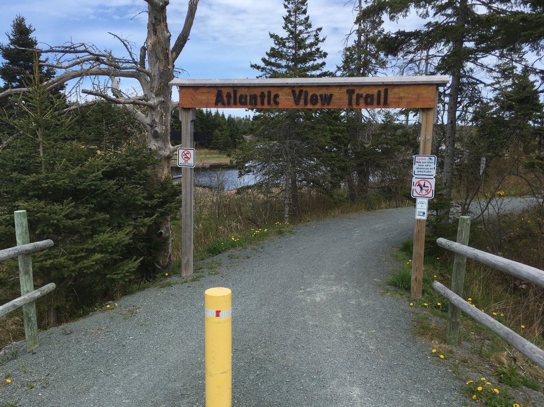 Atlantic View Trail景点图片