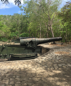 The Old Artillery Field Sao Mai - Nui Lon景点门票图片