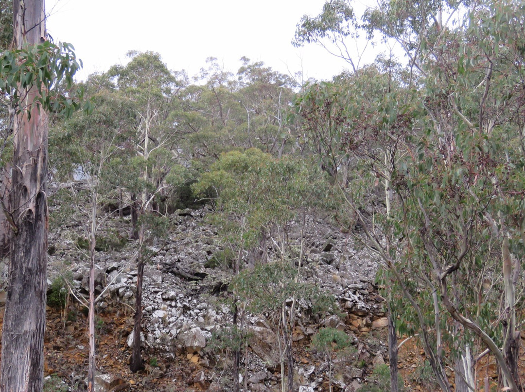 Great Western Tiers Conservation Area景点图片