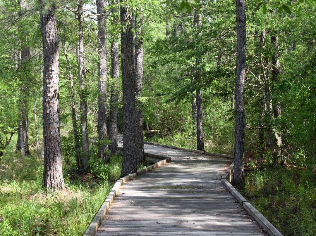 Kountze旅游攻略图片