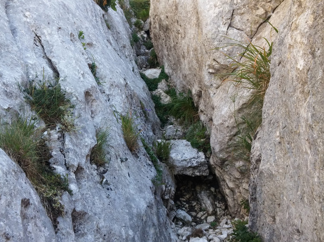 Riserva Naturale Monte Velino景点图片