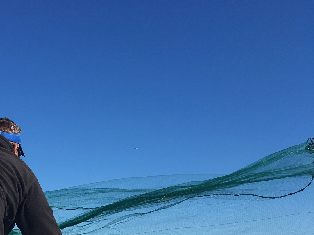 Captain Dustin Fishing Charters-Holiday必去景点