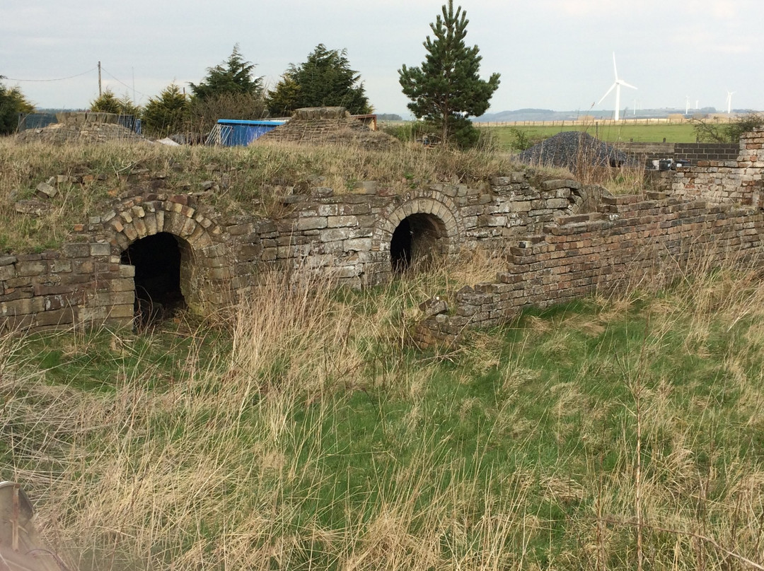 Inkerman Beehive Coke Ovens-Tow Law必去景点