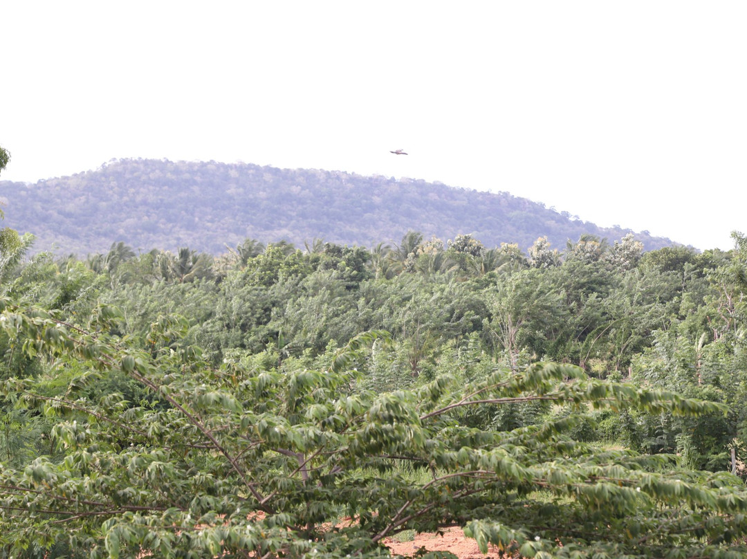 Hotel Whitehouse主图