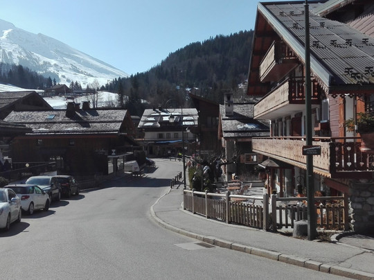 Hotel Floralp Chalet主图
