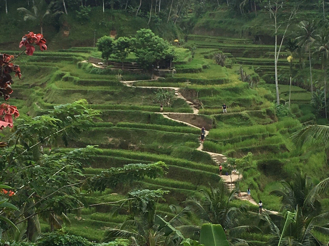 Bali Tour Exotic-努沙杜瓦必去景点