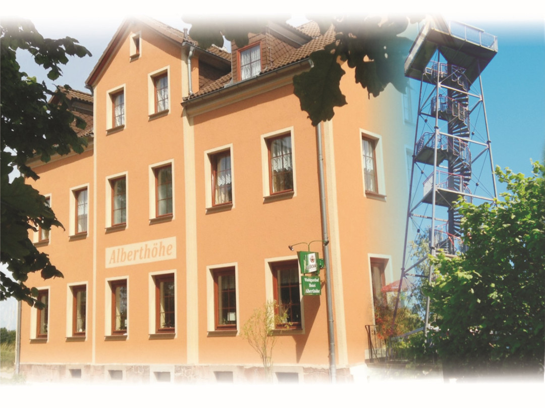 Niederwurschnitz酒店住宿-Waldgasthof & Hotel Alberthohe