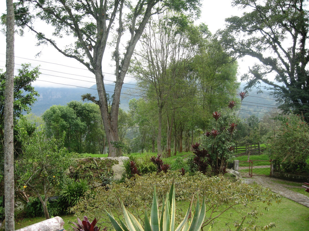 Parque Ecocenter景点图片