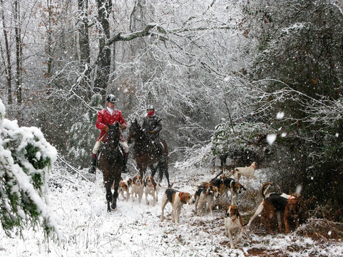 Oakland Heights Farm-Gordonsville必去景点