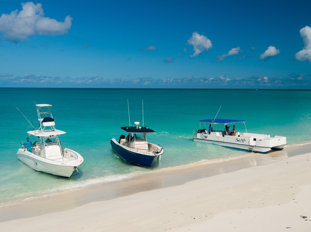 Talbot's Adventures-格雷斯湾必去景点