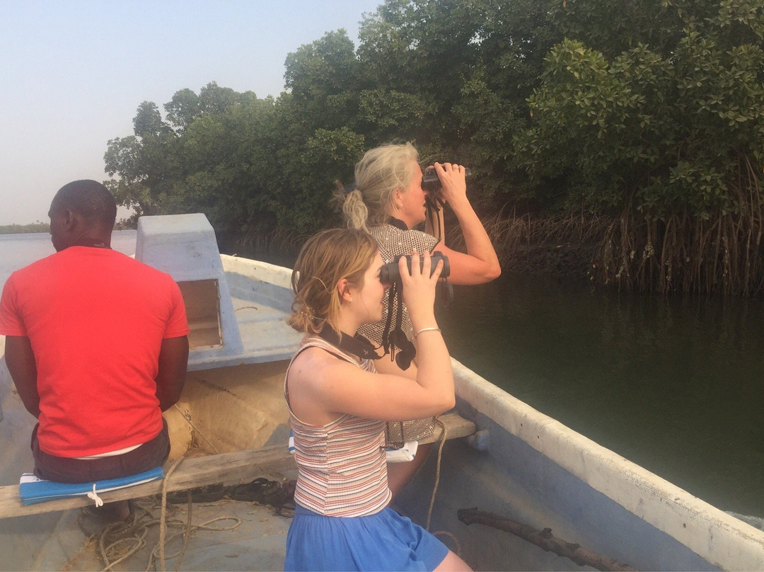 Best Bird Watching Gambia-Bijilo必去景点