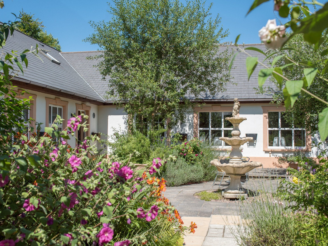 Brongwyn Holiday Cottages