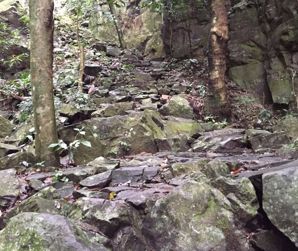 百崖大峡谷-武宣县必去景点