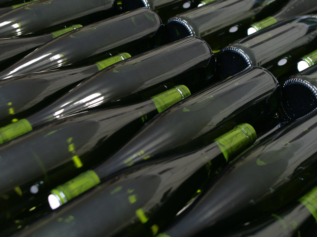 Domaine du Moulin de Dusenbach景点图片