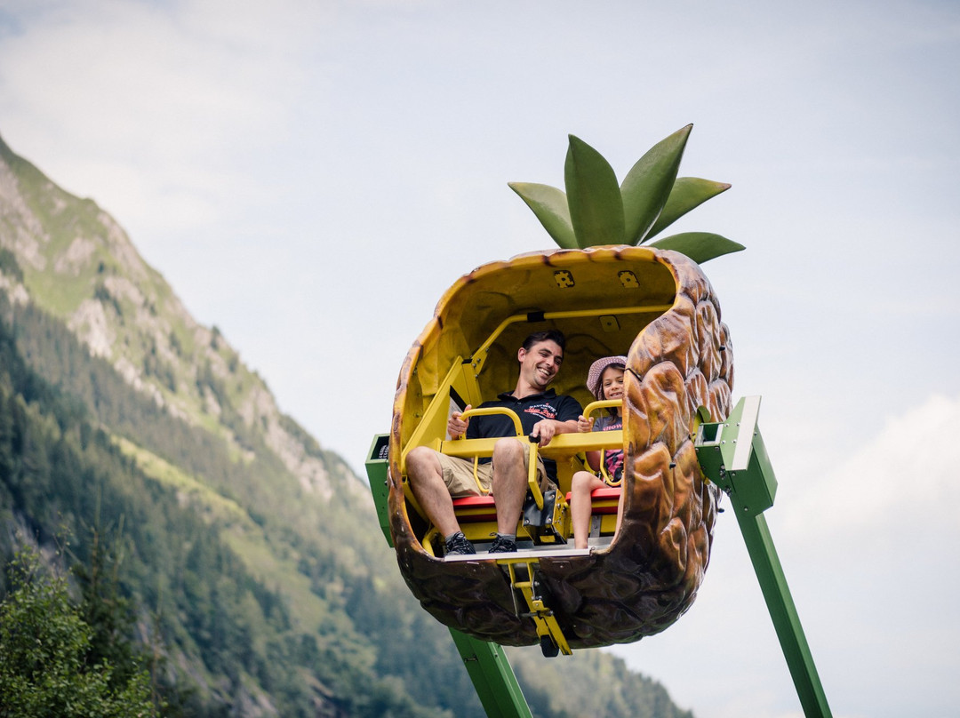 Wild & Adventure Park Ferleiten-Ferleiten必去景点